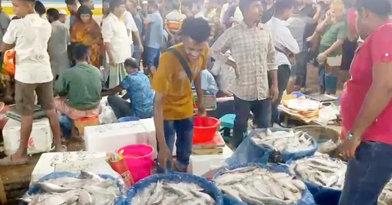 ফরিদপুরের ইলিশ মাছের মেলা